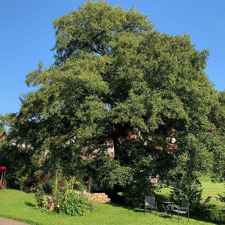 Ferienwohnung Am Rennsteig Bei Eisenach - Ilona Schmidt Wolfsburg-Unkeroda Экстерьер фото